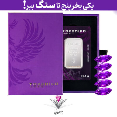باندل شمش نقره توکنیکو 1 اونسی (999.9) به همراه 5 عدد سنگ آمیتیست