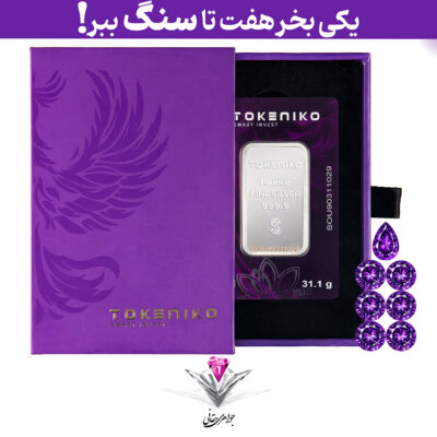 باندل شمش نقره توکنیکو 1 اونسی (999.9) به همراه 7 عدد سنگ آمیتیست