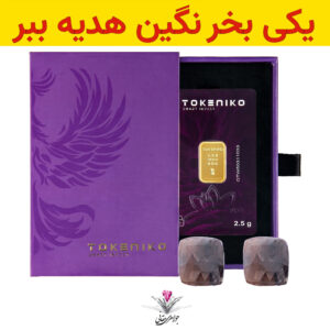 باندل شمش طلا توکنیکو 2,5 گرم / عیار 995 به همراه نگین یاقوت طبیعی + یاقوت طبیعی رایگان